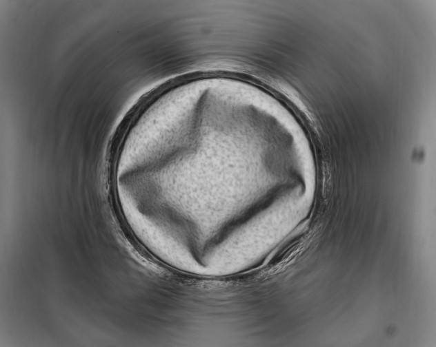 X0000099561116200806061533