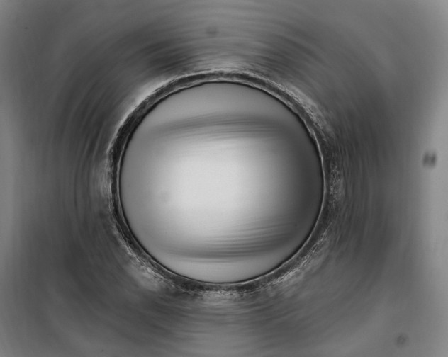 X0000099561118200806061533