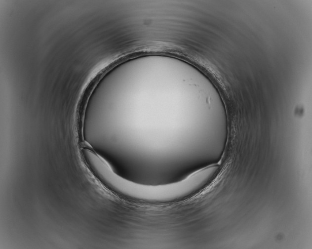 X0000099561122200806061533