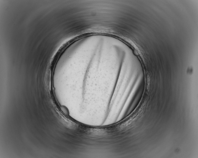 X0000099561123200806061533