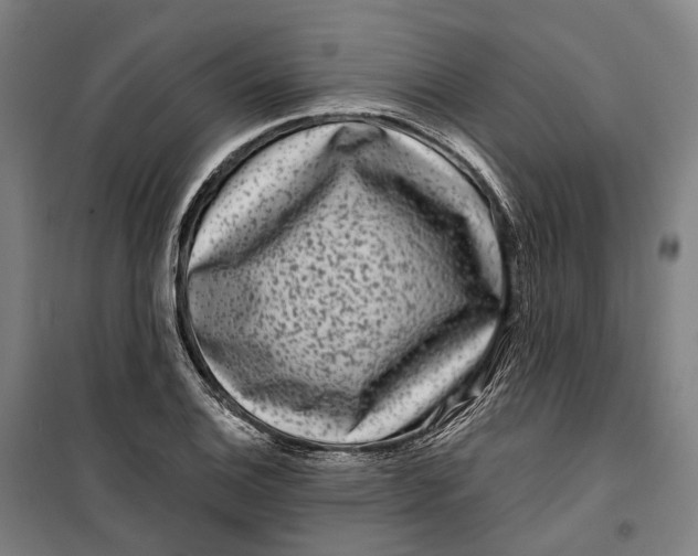 X0000099561124200806061534