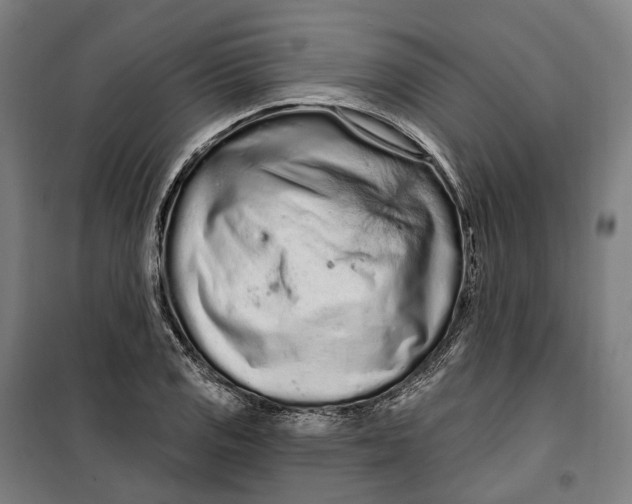 X0000099561125200806061534