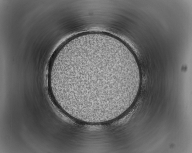 X0000099561126200806061534