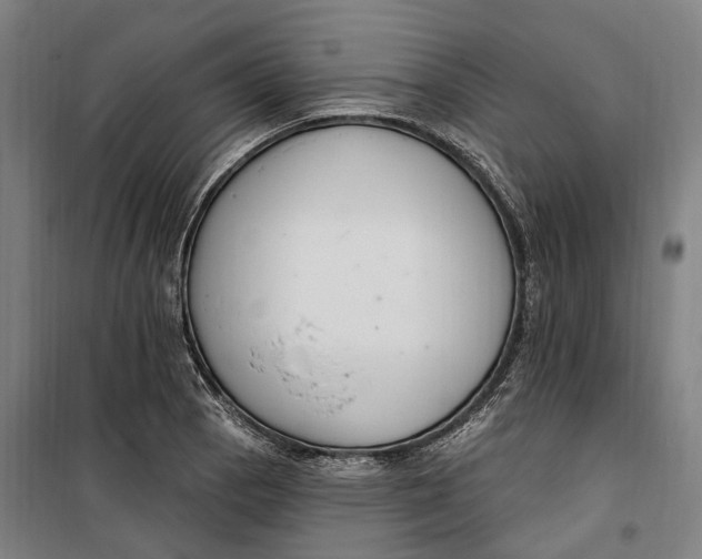 X0000099561129200806061534