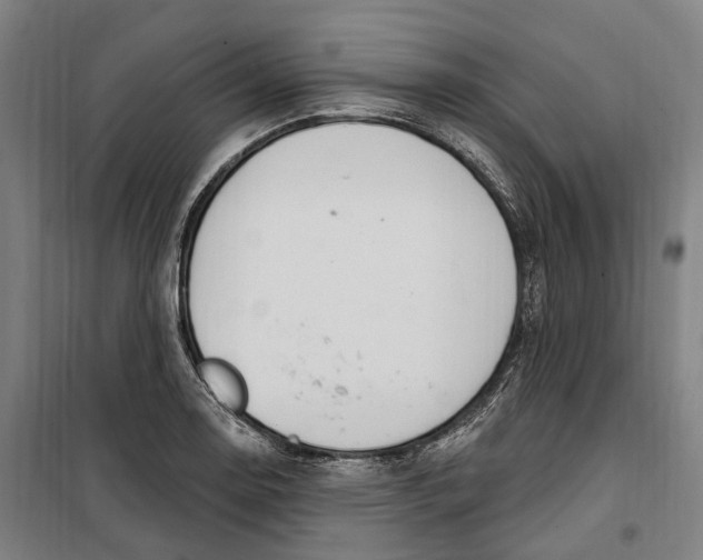 X0000099561130200806061534