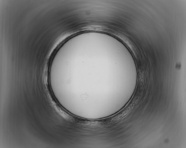 X0000099561131200806061534