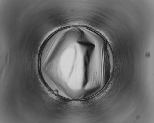 X0000099561134200806061534