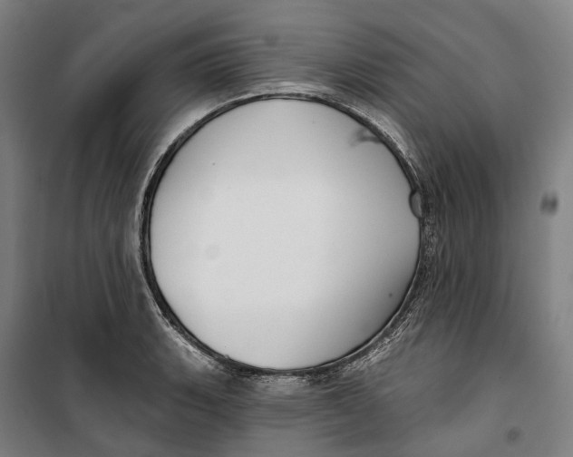 X0000099561135200806061534