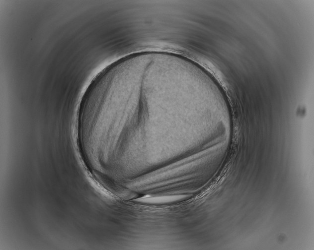 X0000099561136200806061534