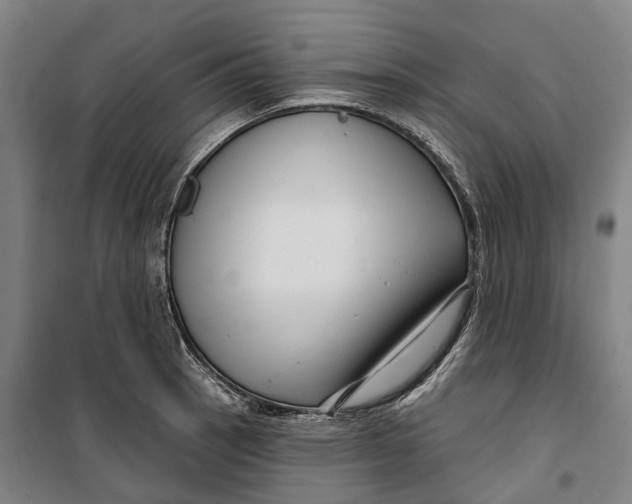 X0000099561137200806061534