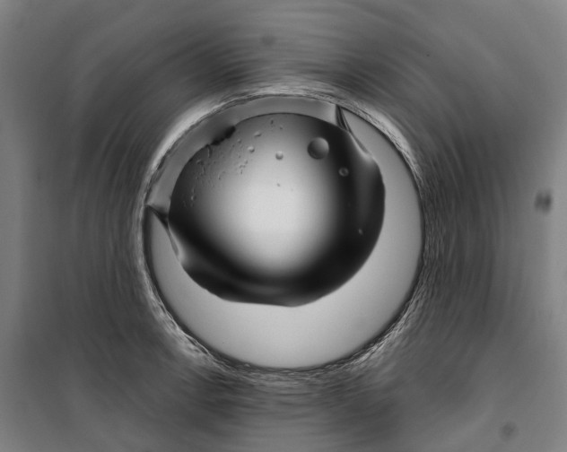 X0000099561138200806061534