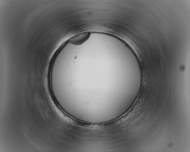 X0000099561139200806061534