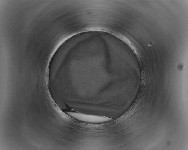 X0000099561140200806061534