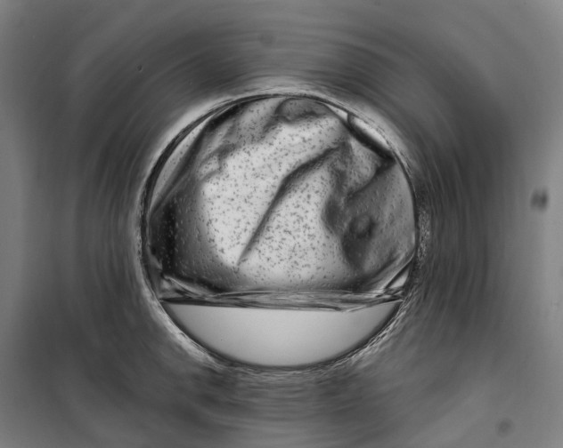 X0000099561142200806061534