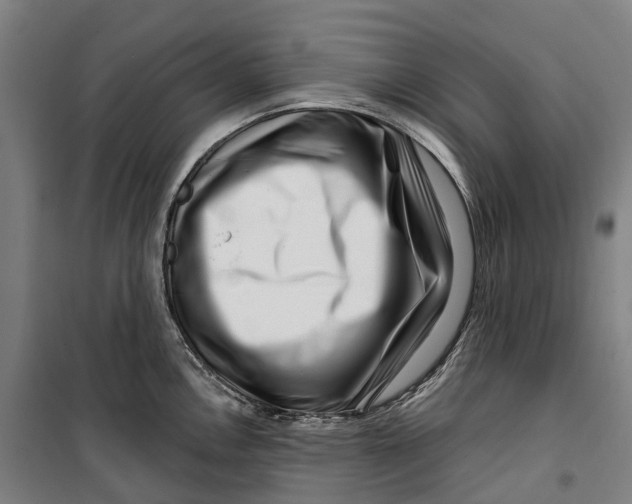 X0000099561146200806061534