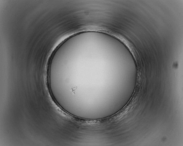 X0000099561147200806061534