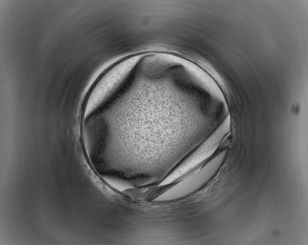 X0000099561148200806061534