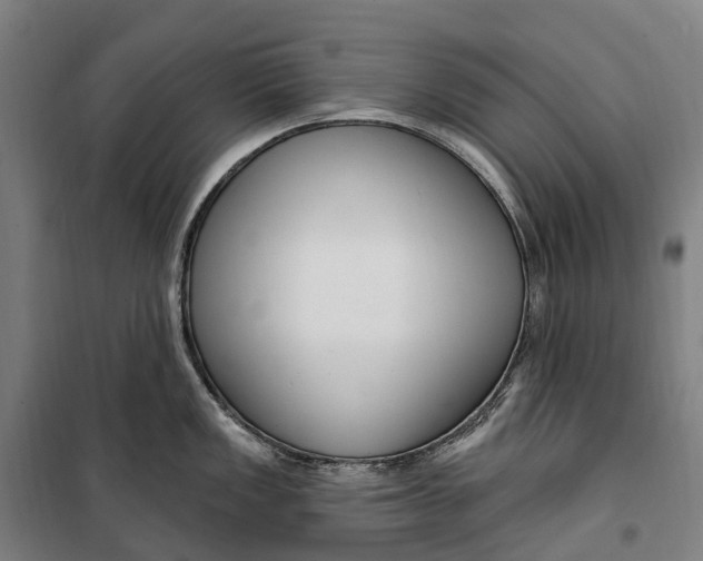 X0000099561149200806061534