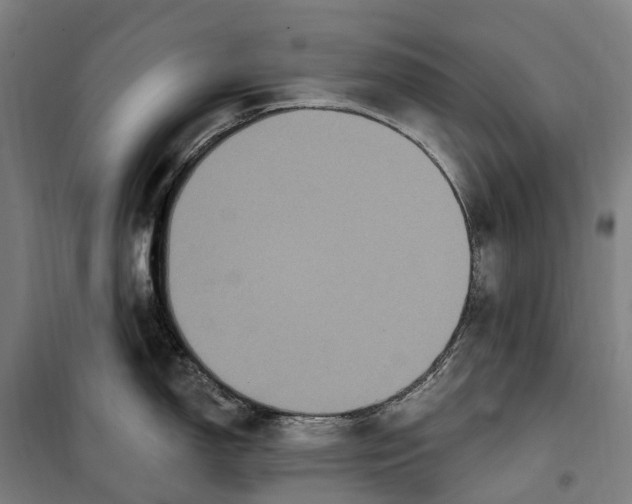 X0000099561150200806061534