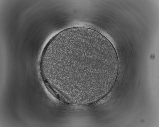 X0000099561152200806061534