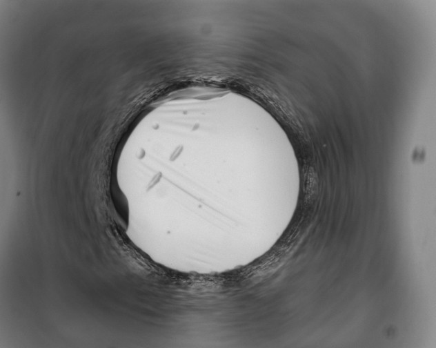 X0000099561153200806061533