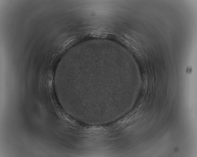 X0000099561154200806061533