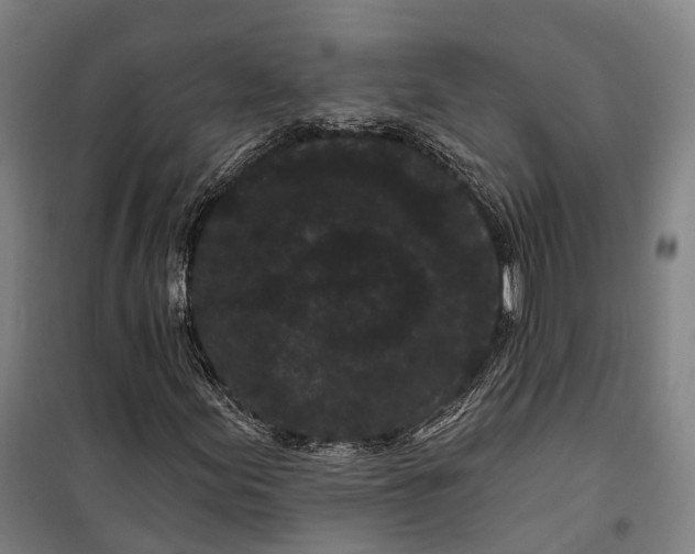 X0000099561155200806061533