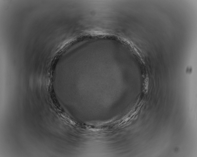 X0000099561157200806061533