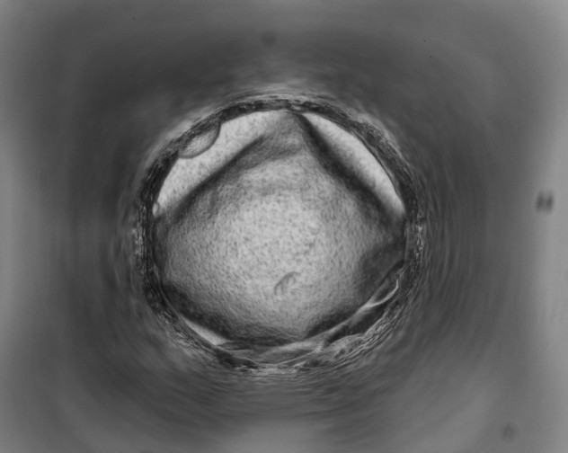 X0000099561159200806061533