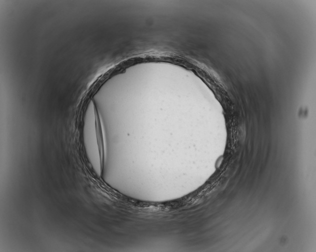 X0000099561160200806061533