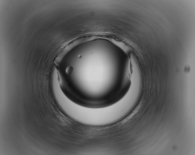 X0000099561161200806061533