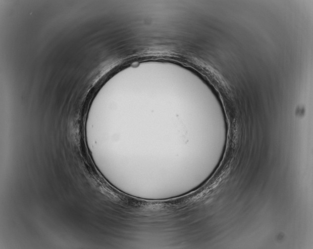 X0000099561162200806061533