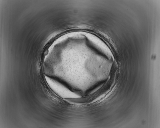 X0000099561163200806061533