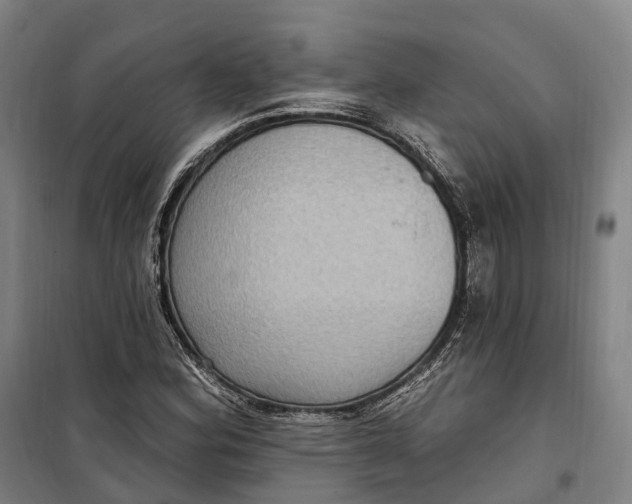 X0000099561164200806061533