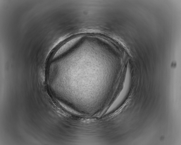 X0000099561165200806061533