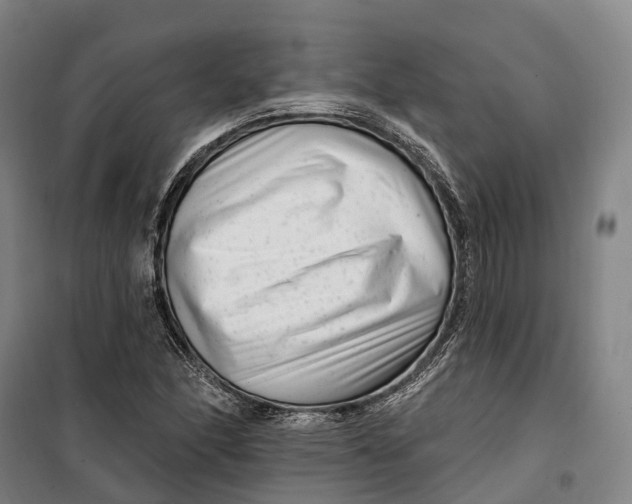 X0000099561166200806061533