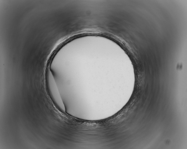 X0000099561168200806061533