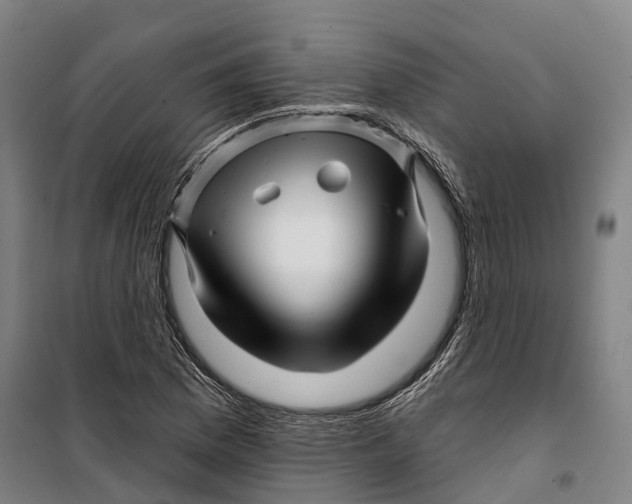 X0000099561169200806061533