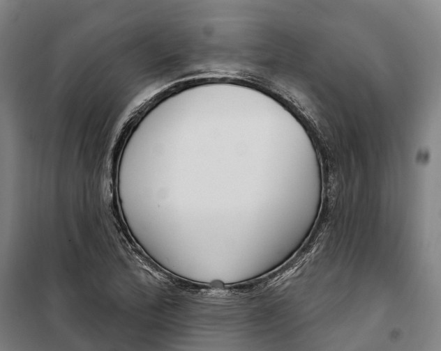 X0000099561172200806061533