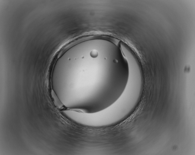 X0000099561173200806061533