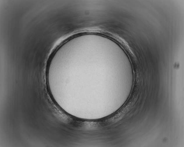 X0000099561176200806061533