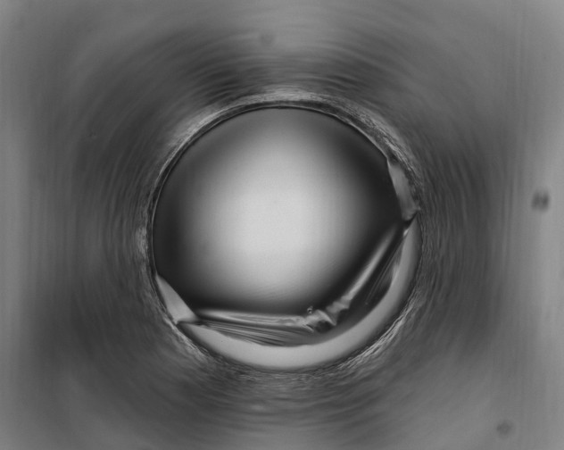 X0000099561177200806061533