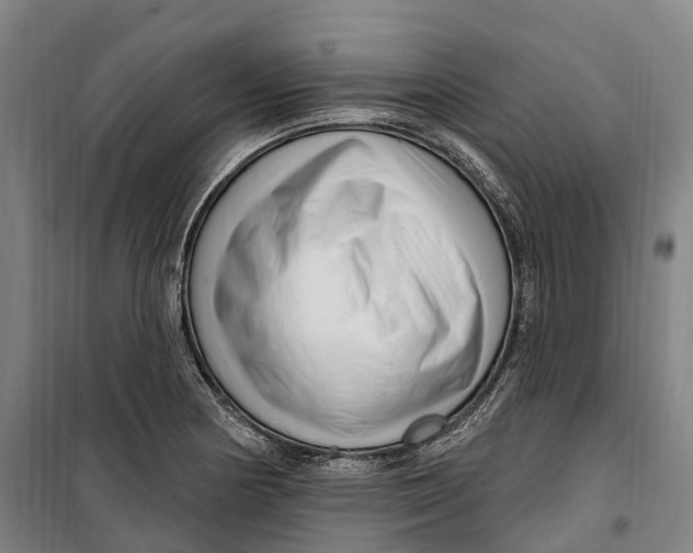 X0000099561178200806061533