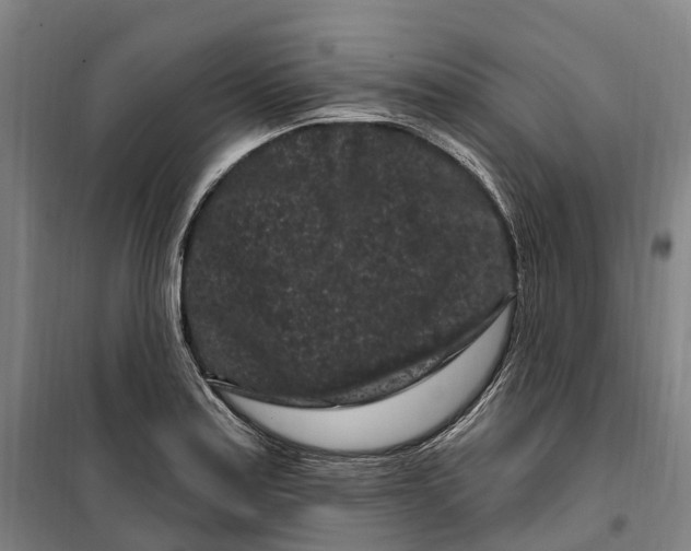 X0000099561179200806061533