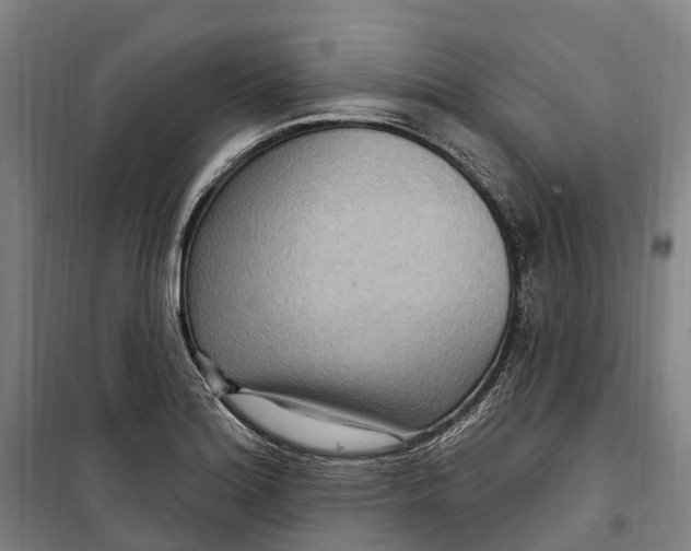 X0000099561180200806061533