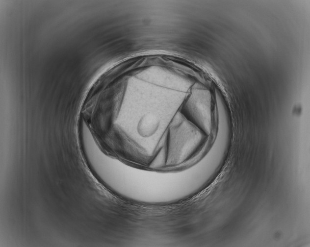 X0000099561181200806061533