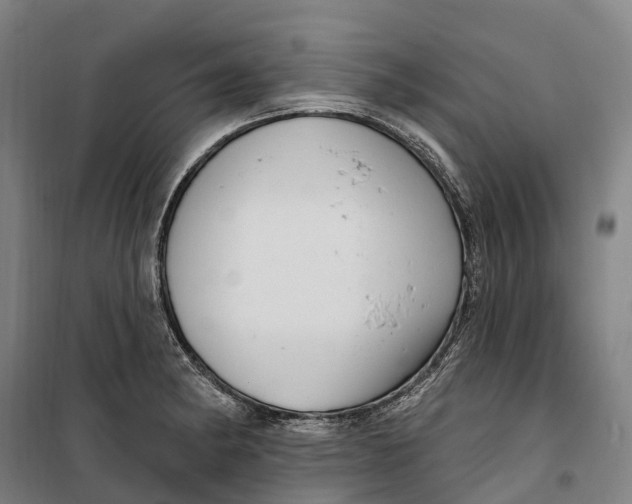 X0000099561182200806061533