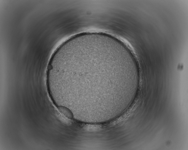 X0000099561183200806061533