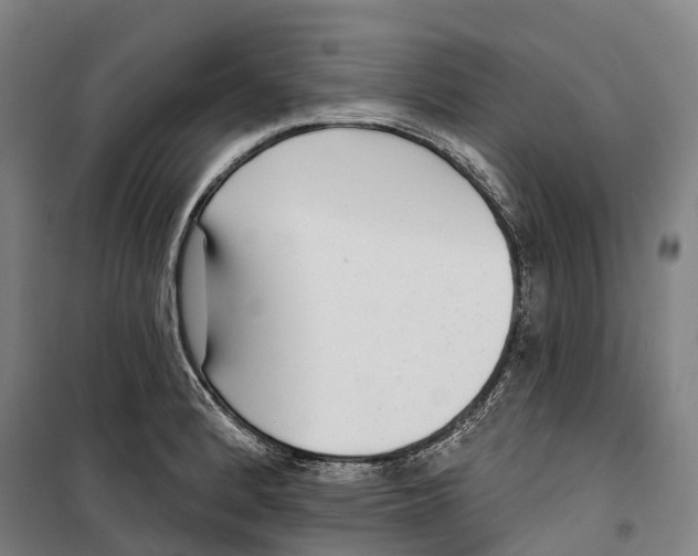 X0000099561184200806061533