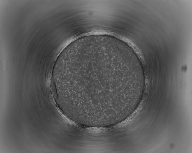 X0000099561185200806061533